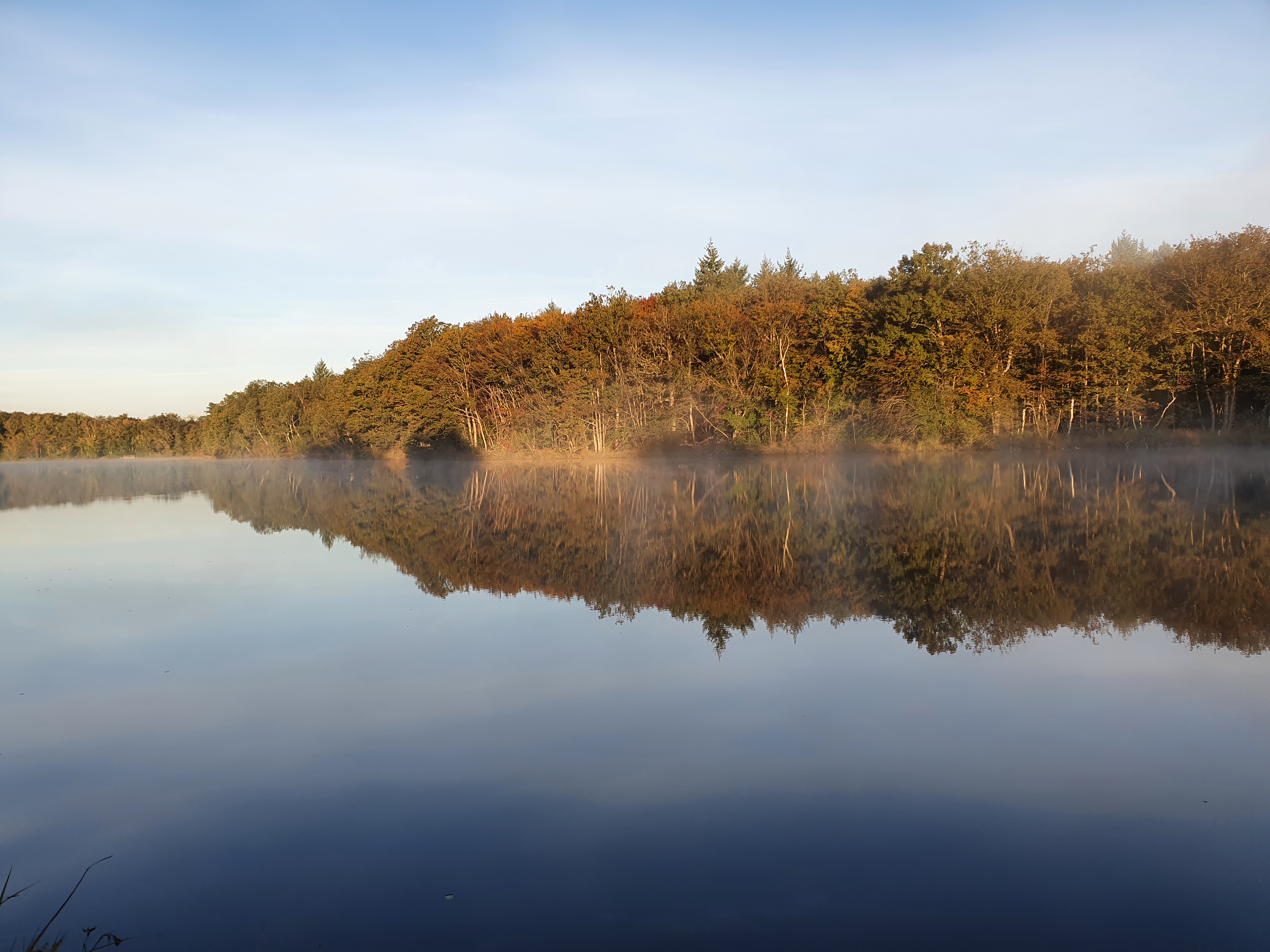 Photo n° 6 de l'avis de henk.w fait le 25/10/2021 à 17:07