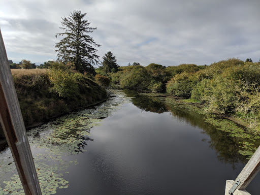 Country Club «Astoria Golf & Country Club», reviews and photos, 33445 Sunset Beach Rd, Warrenton, OR 97146, USA