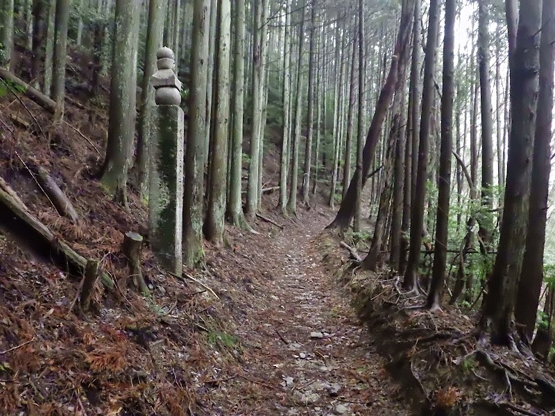 高野参詣道 町石道 １３２番五輪卒塔婆