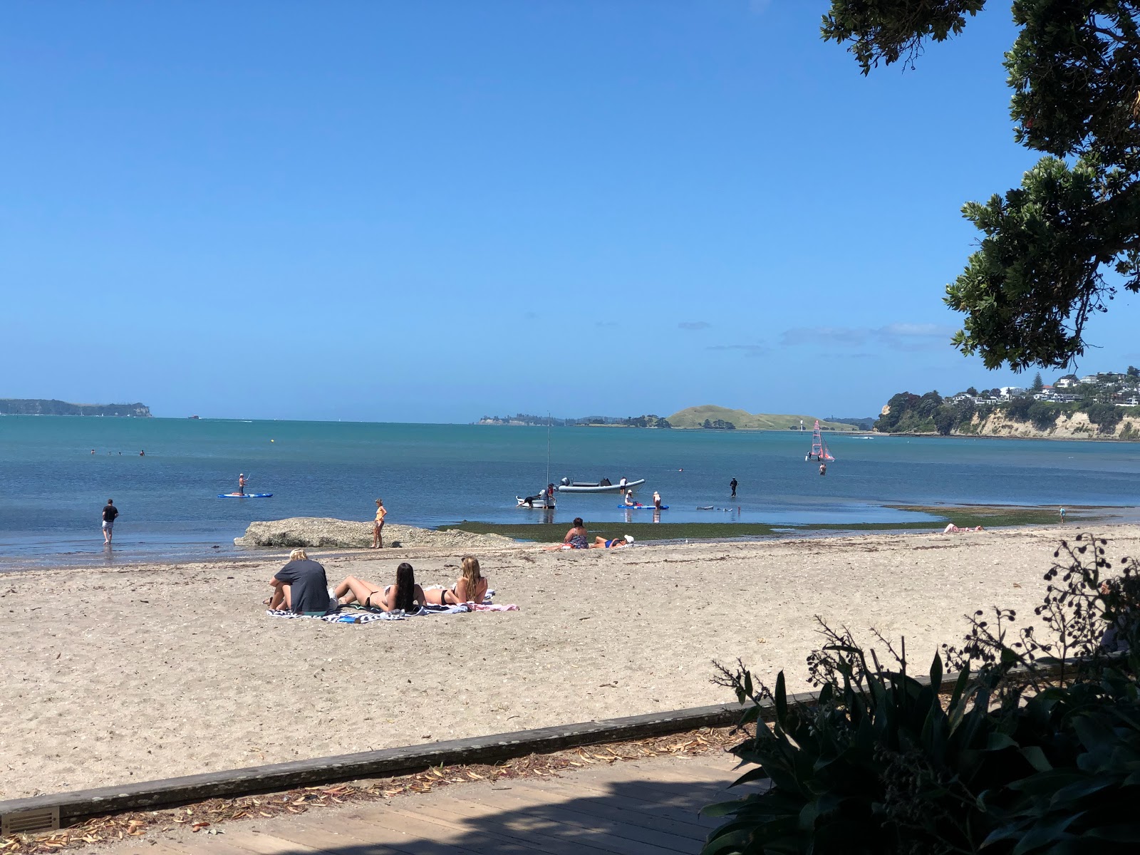 Foto de Kohimarama Beach - bom local amigável para animais de estimação para férias