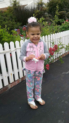 RV Park «Dallas Hi Ho RV Park», reviews and photos, 200 West Bear Creek, Glenn Heights, TX 75154, USA