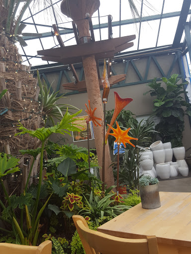 Plant shops in Seattle