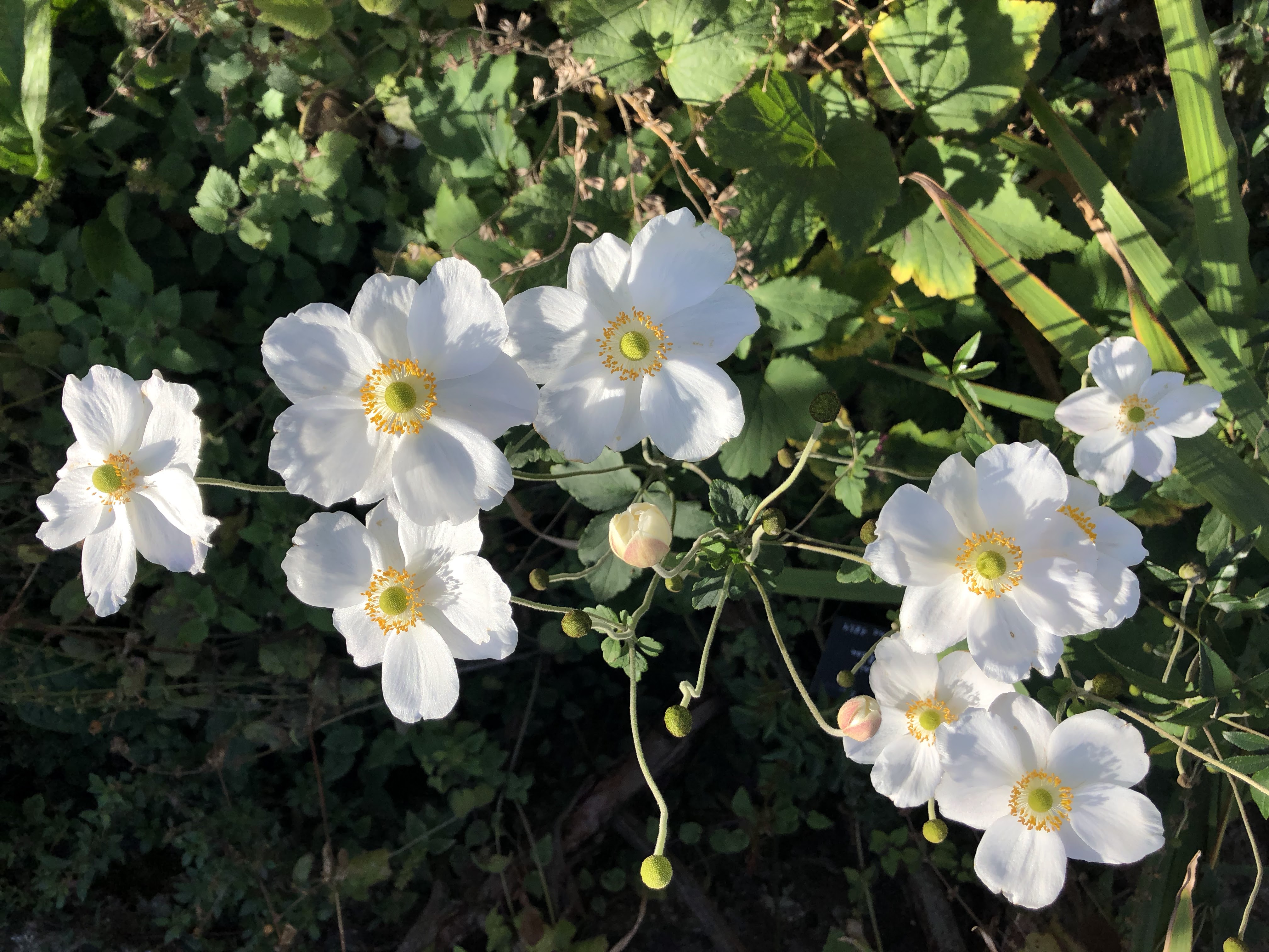 Photo n° 1 de l'avis de Alan.u fait le 20/07/2018 à 19:06