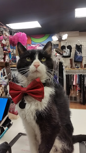 Used Clothing Store «iconoCLAD», reviews and photos, 414 300 S, Salt Lake City, UT 84111, USA