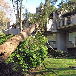 Construction Company «Charter Construction Inc», reviews and photos, 980 S Harney St, Seattle, WA 98108, USA