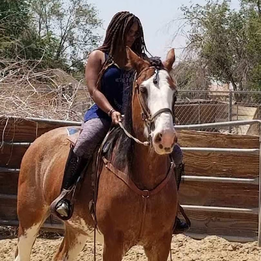 Antelope Valley Horse Trainer