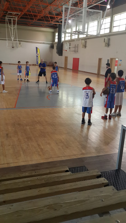 Beylikdüzü Fenerbahçe Basketbol Okulu