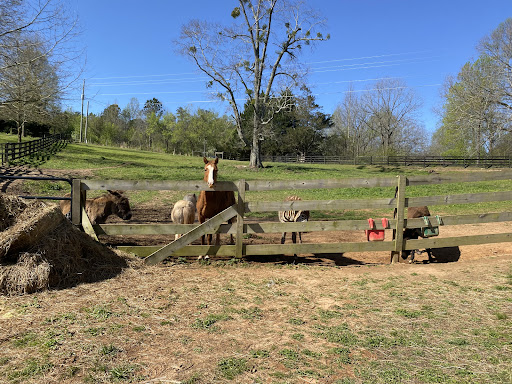 Zoo «Chestatee Wildlife Preserve & Zoo», reviews and photos, 469 Old Dahlonega Hwy, Dahlonega, GA 30533, USA