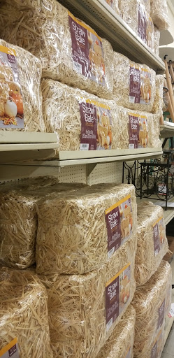 Craft Store «Hobby Lobby», reviews and photos, 1622 Florence Blvd, Florence, AL 35630, USA