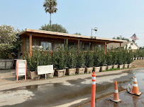 Redwood Products of Chino, Inc. - Photo 2 - Car repair in Ontario, CA, Ontario