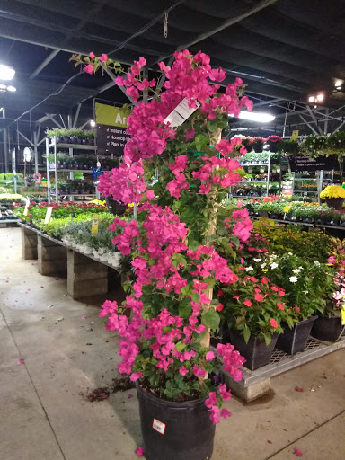 Home Improvement Store «The Home Depot», reviews and photos, 1651 S Poinciana Blvd, Kissimmee, FL 34758, USA