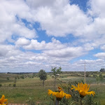 Photo n°7 de l'avis de Sonia.l fait le 25/04/2022 à 06:51 sur le  Videira Country à Borba