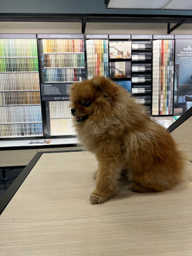 Paint Store «Miller Paint of Adventura», reviews and photos, 2826 NE 187th St, Miami, FL 33180, USA