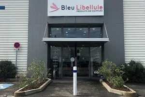 Bleu Libellule image