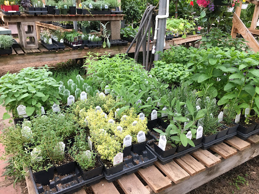 Plant Nursery «Sturtz & Copeland Florist & Greenhouses», reviews and photos, 2851 Valmont Rd, Boulder, CO 80301, USA