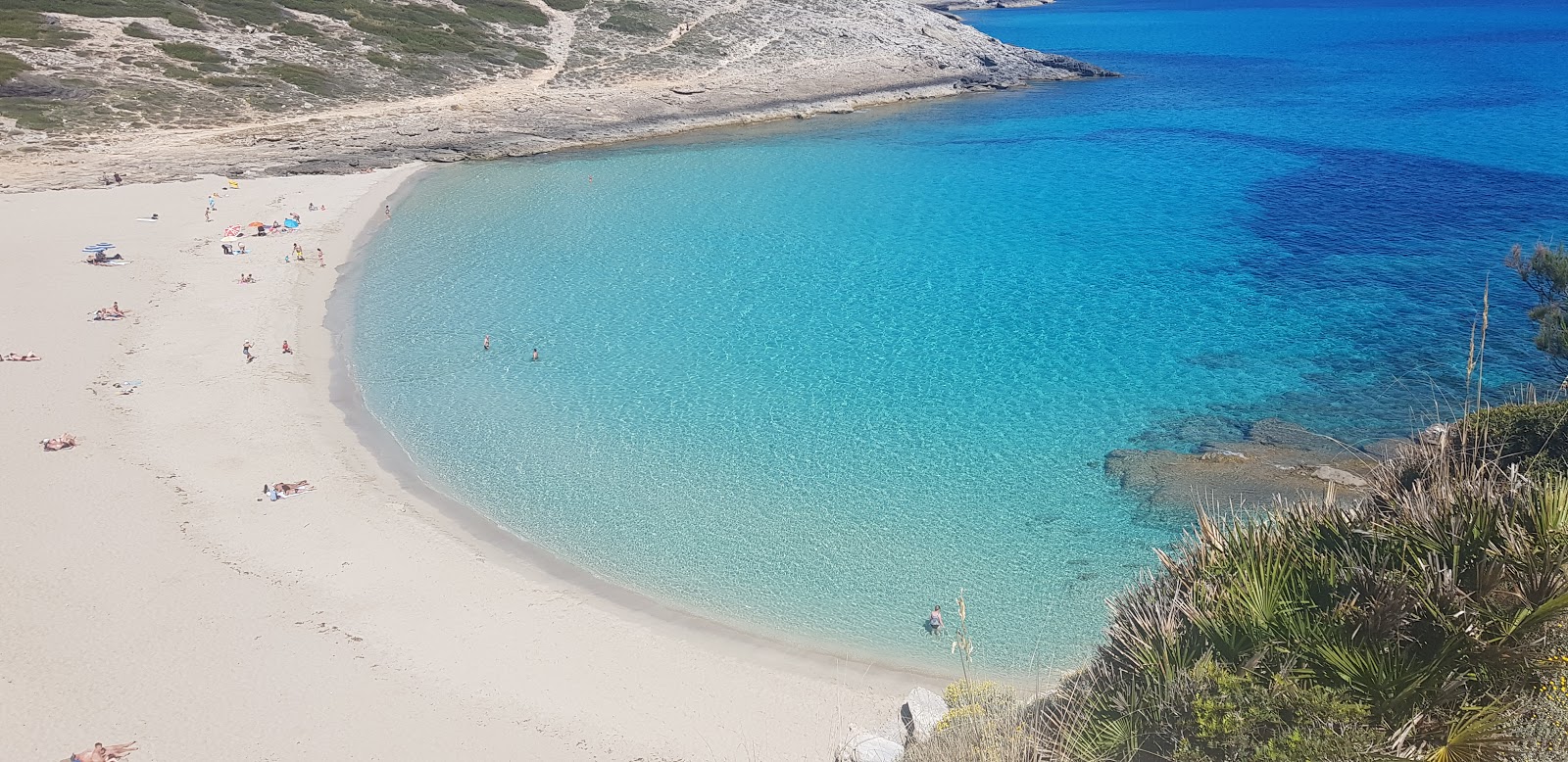 Fotografija Cala Torta z svetel fin pesek površino