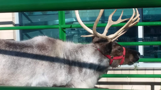 Supermarket «Hy-Vee», reviews and photos, 10808 Fort St, Omaha, NE 68164, USA