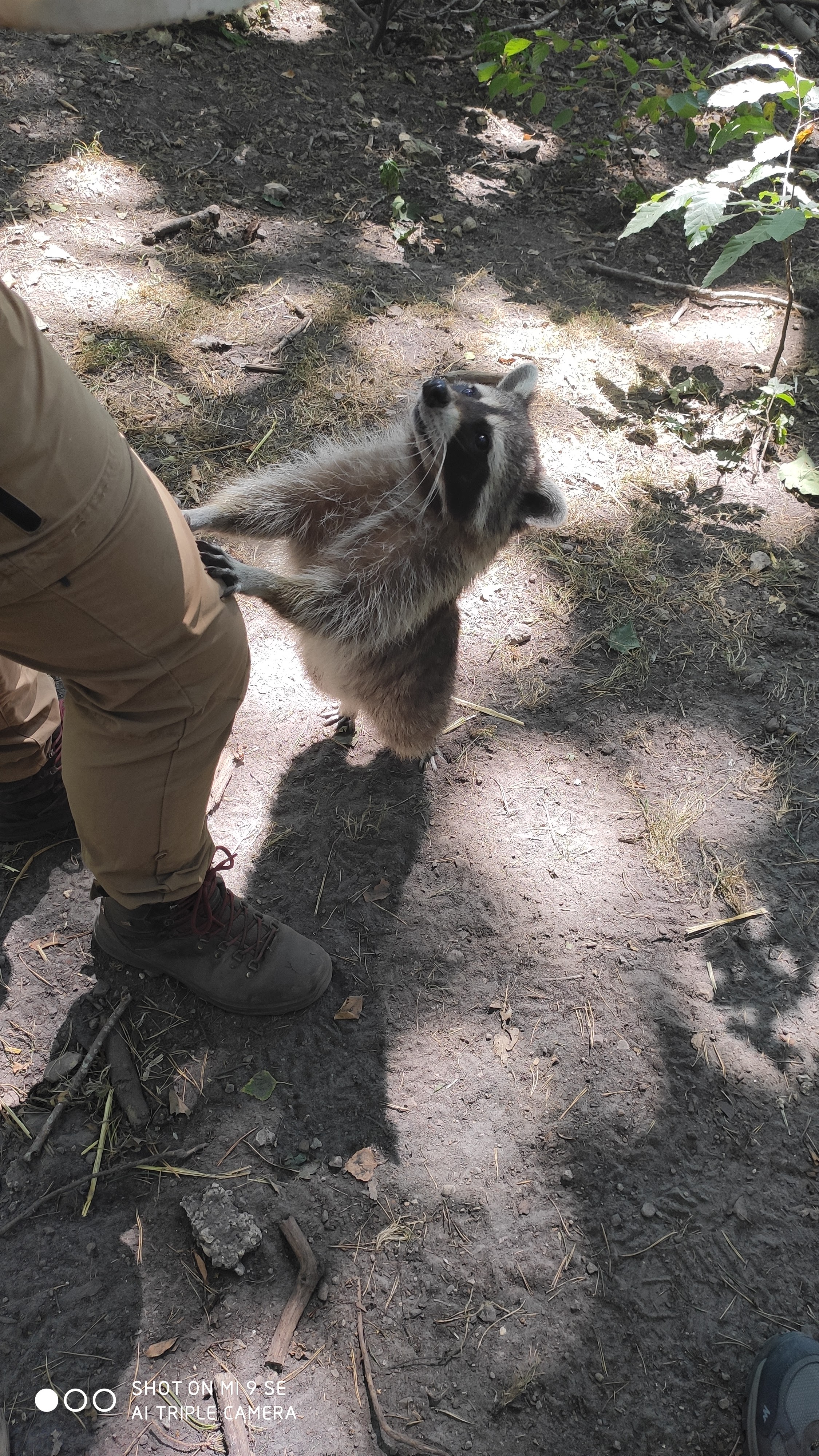 Photo n° 1 de l'avis de Célia.i fait le 30/07/2020 à 17:56