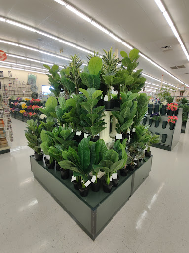 Craft Store «Hobby Lobby», reviews and photos, 5288 Preston Rd, Frisco, TX 75034, USA