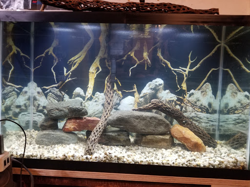 Pet Supply Store «PetSmart», reviews and photos, 1500 E Village Way #2380, Orange, CA 92865, USA