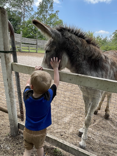 Animal Rescue Service «Nanny’s Educational Zoo And Rescue», reviews and photos, 1139 Livingston Rd, Lutz, FL 33559, USA