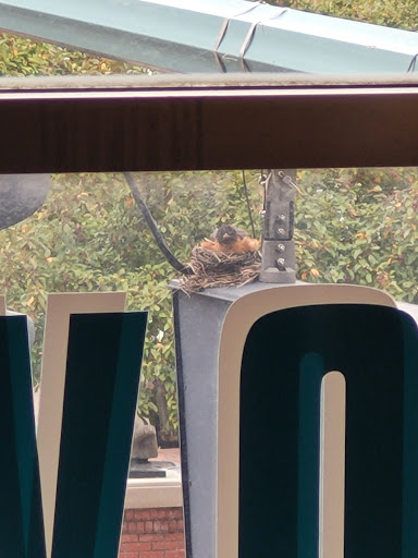 Tourist Attraction «Escape Room Downtown», reviews and photos, 203 Market Ave S #200, Canton, OH 44702, USA