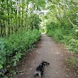 Little Lane Playing Fields