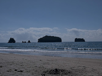 Island View Reserve