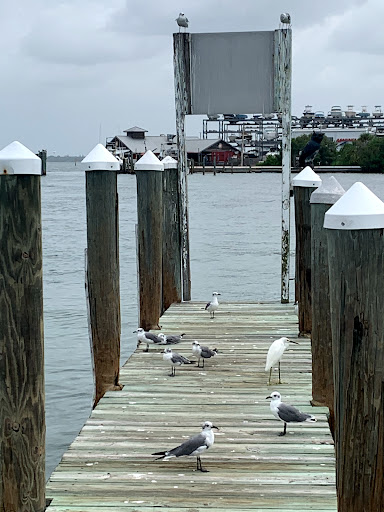 Insurance Agency «Tom Luscombe - State Farm Insurance Agent», reviews and photos