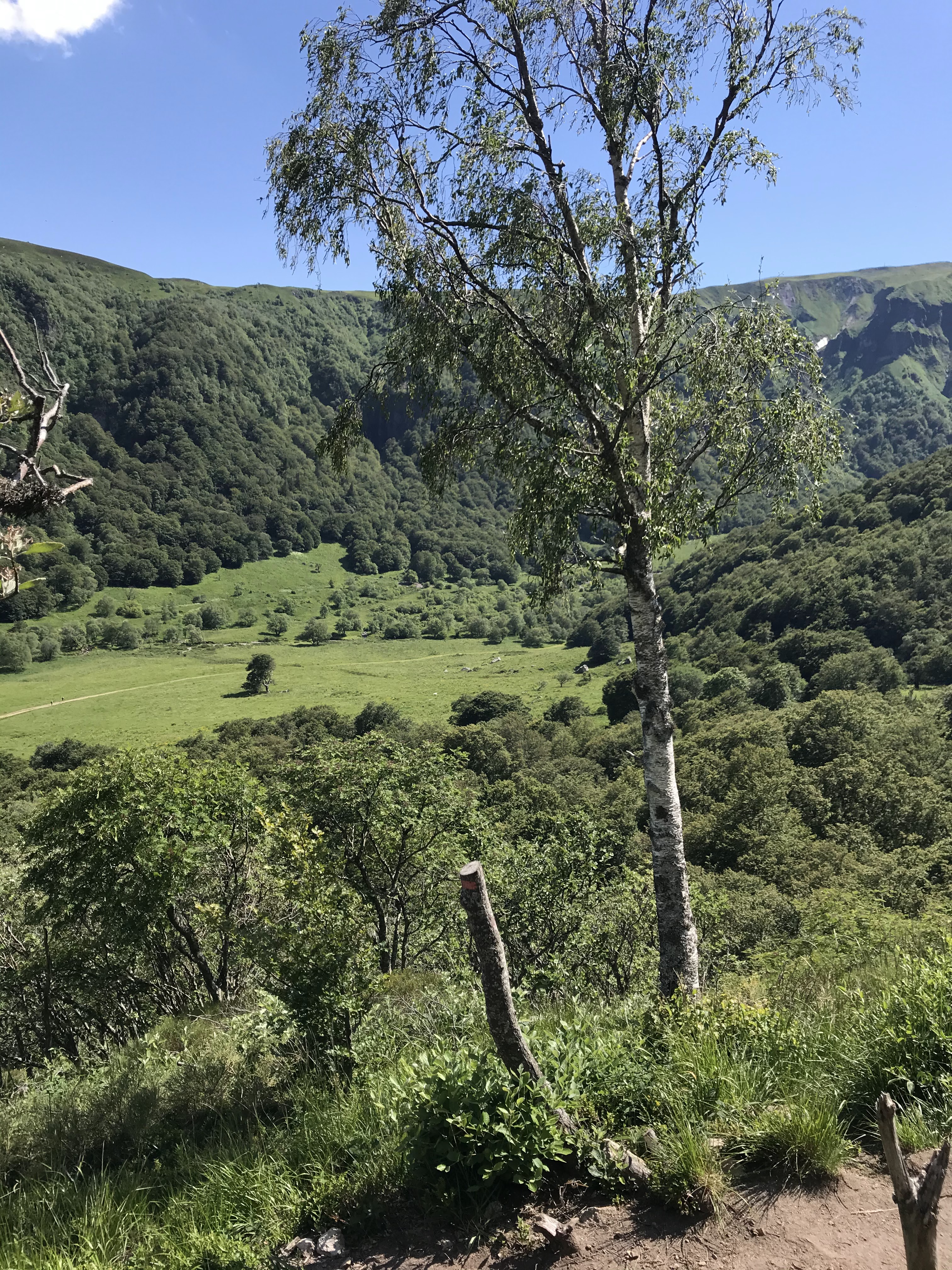 Photo n° 1 de l'avis de axel.l fait le 24/06/2020 à 15:56