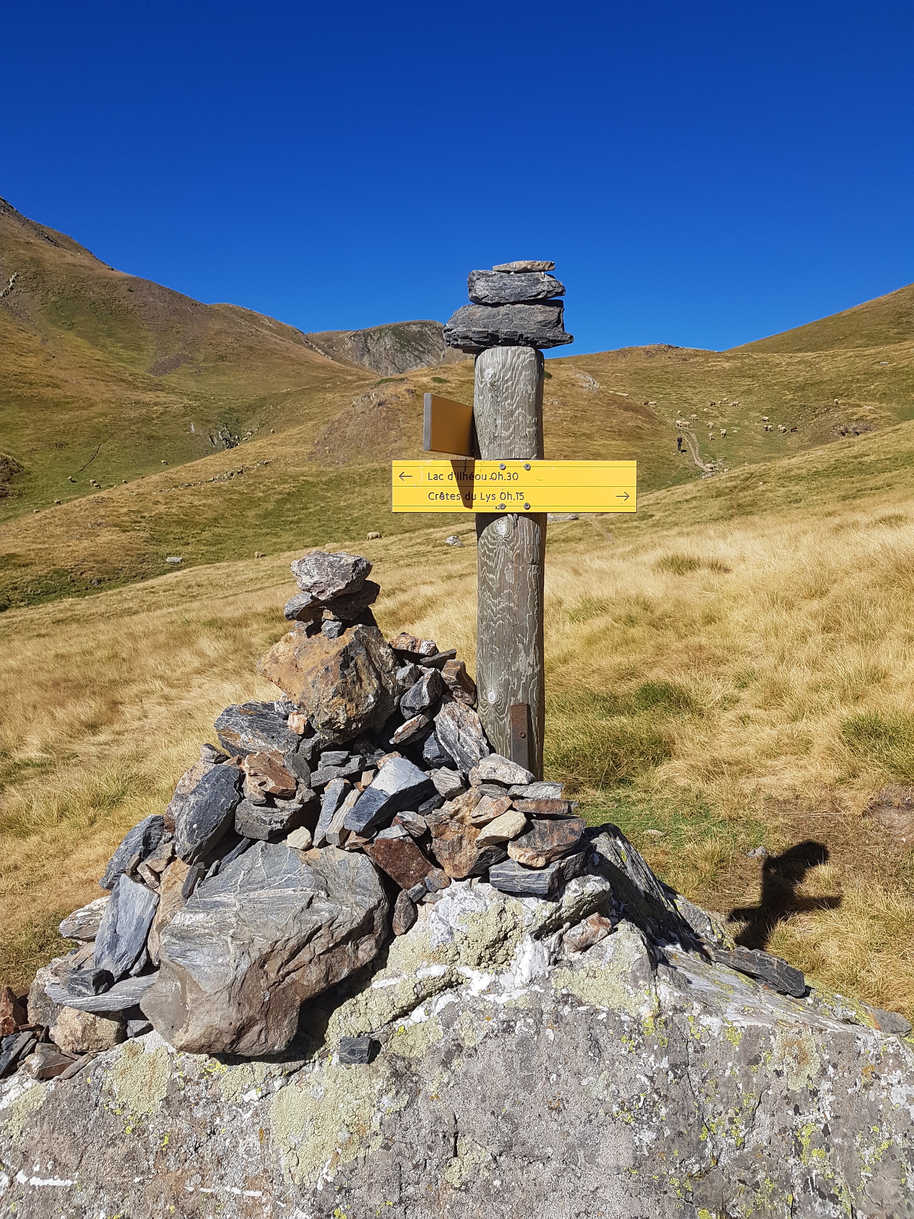 Photo n° 2 de l'avis de S-E.u fait le 19/08/2020 à 17:49