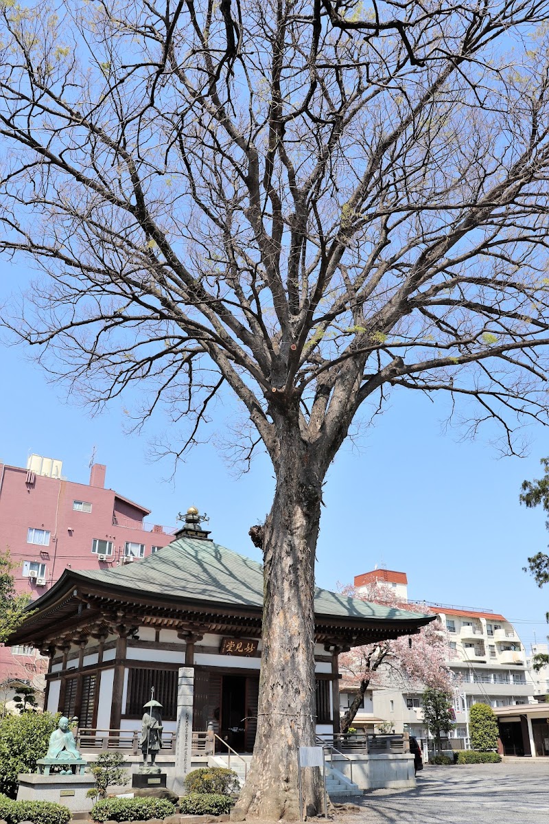 總持寺（真言宗智山派 田無山）