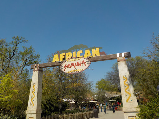 African Savanna at Fort Worth Zoo image 1
