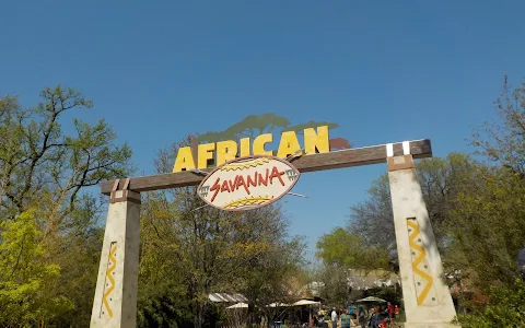 African Savanna at Fort Worth Zoo image