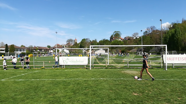 Rezensionen über Football field in Neuenburg - Sportstätte