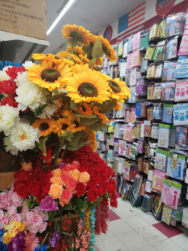 Discount Store «99C Always Plus», reviews and photos, 691 Franklin Ave, Franklin Square, NY 11010, USA