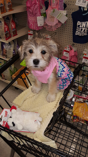 Pet Supply Store «Pet Supplies Plus», reviews and photos, 1510 Scranton Carbondale Hwy, Scranton, PA 18508, USA