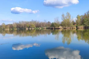 Farkincás tó image