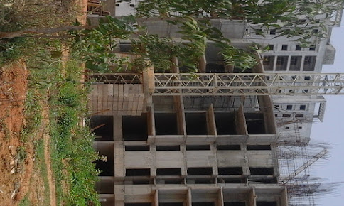 Google Maps image 10