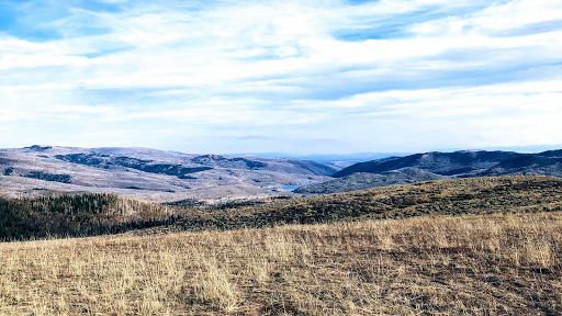 Credit Counseling Service «Krafty Credit Solutions», reviews and photos