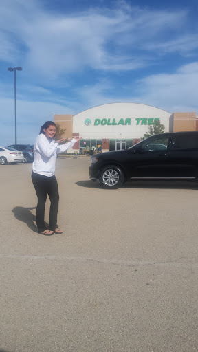 Dollar Store «Dollar Tree», reviews and photos, 16101 S Farrell Rd, Lockport, IL 60441, USA