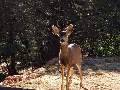 Golf Club «Seven Canyons Golf Club», reviews and photos, 625 Golf Club Way, Sedona, AZ 86336, USA