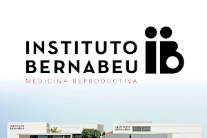 Instituto Bernabeu image