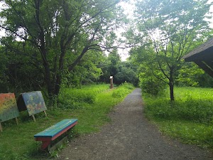 Great Oak Park - photo 9
