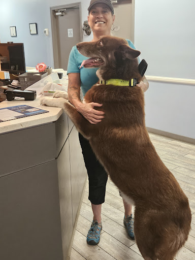 Millcreek Animal Hospital image