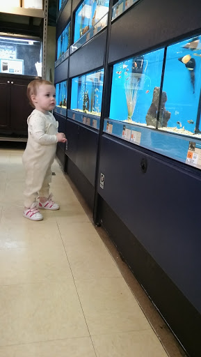 Pet Supply Store «Petco Animal Supplies», reviews and photos, 1391 NJ-35, Middletown, NJ 07748, USA