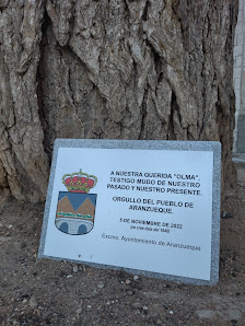 Olma de Aranzueque Pl. Mayor, 17, 19141 Aranzueque, Guadalajara, España