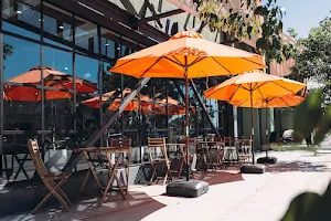 Javista Coffee Hollywood image