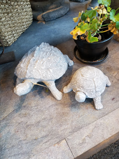 Florist «Derby Farm Flowers & Gardens», reviews and photos, 218 Massachusetts Ave, Arlington, MA 02474, USA