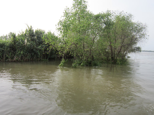 Top 13 cửa hàng kim giáp Huyện Trà Ôn Vĩnh Long 2022